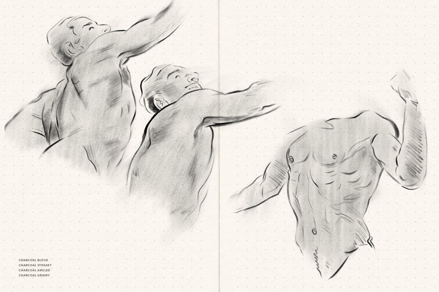 Daily Sketch – Procreate Brushes