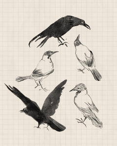 Birds and healing